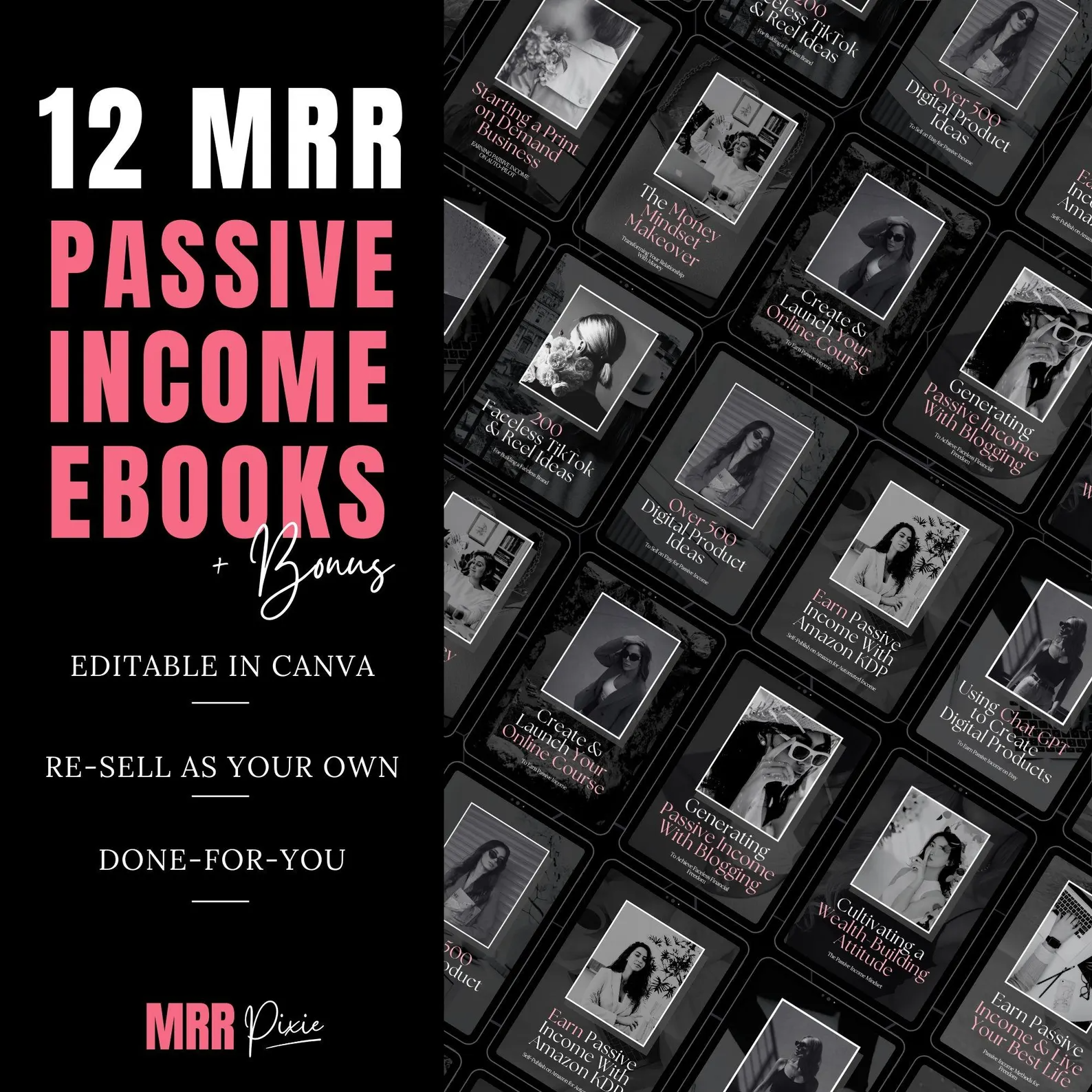 Start Earning Today: Premium Passive Income eBook Bundle with Master Resell & PLR Rights