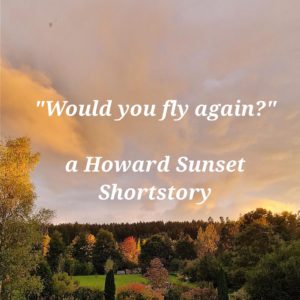 An English Suspense Story - "Would you fly again"