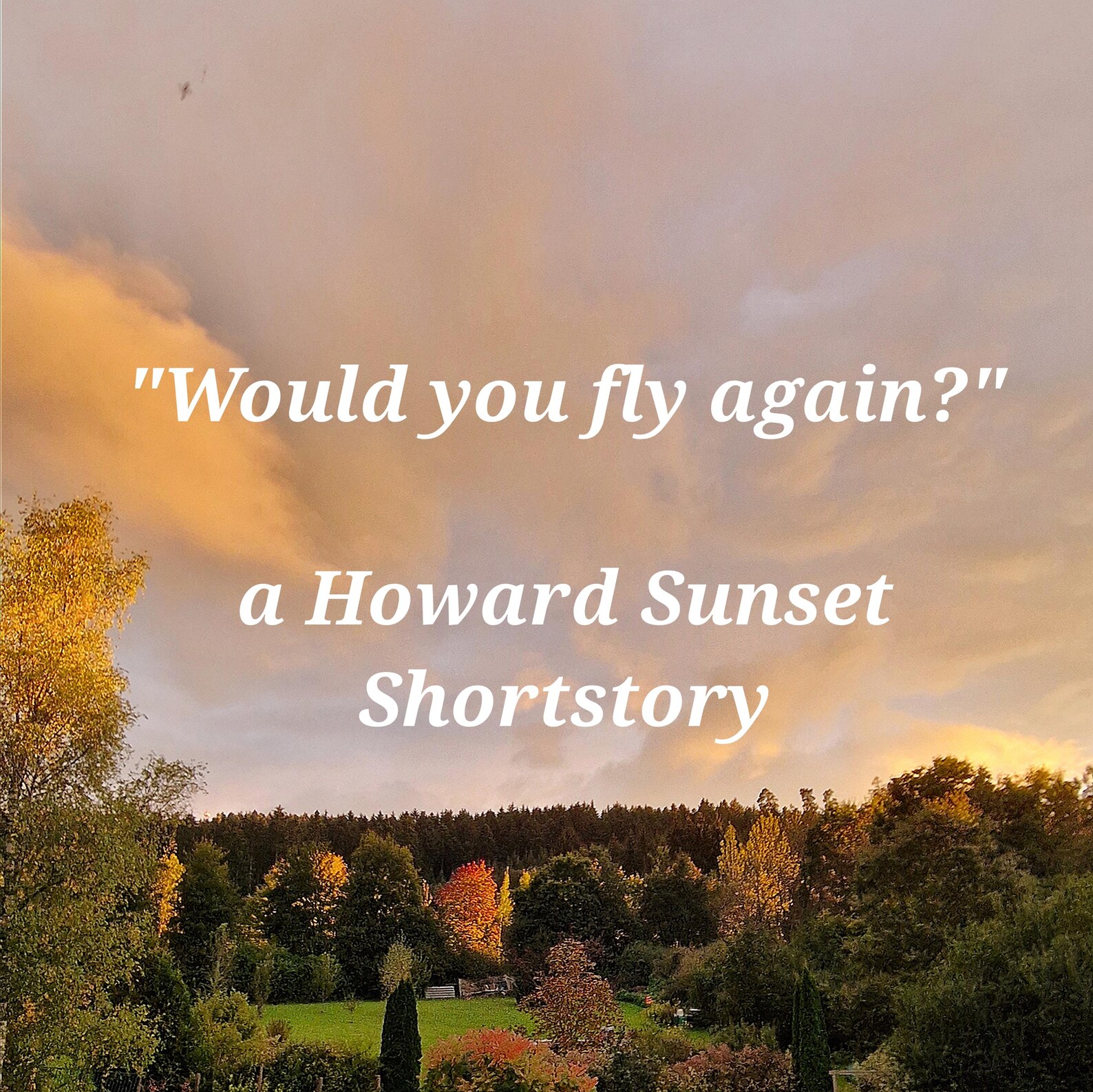 An English Suspense Story - "Would you fly again"